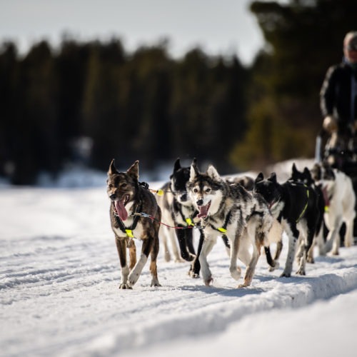 jokkmokk
