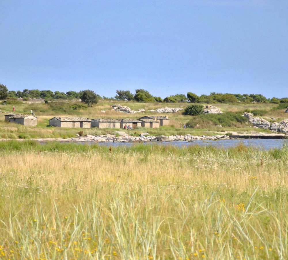 Holmhällar Gotland