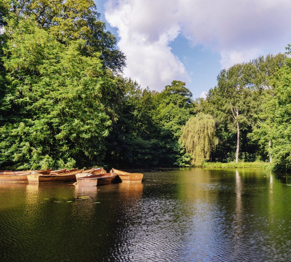 BTZ_6574_Buergerpark_WFB_Bremen_Jonas_Ginter