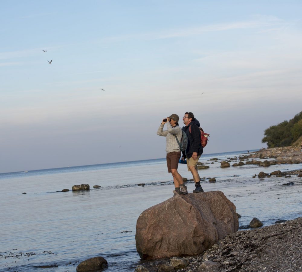 Baltic Sea_Hiking_DSC4648