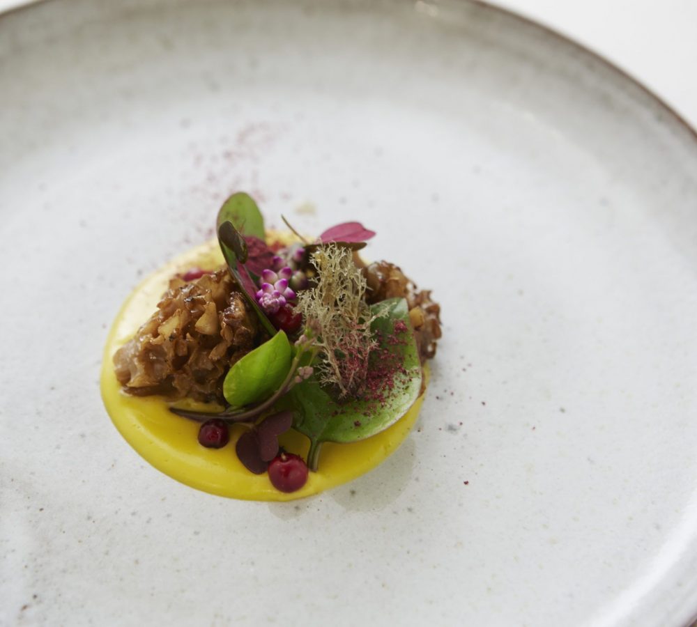 Cauliflower mushroom with eggyolk and resin vinaigrette