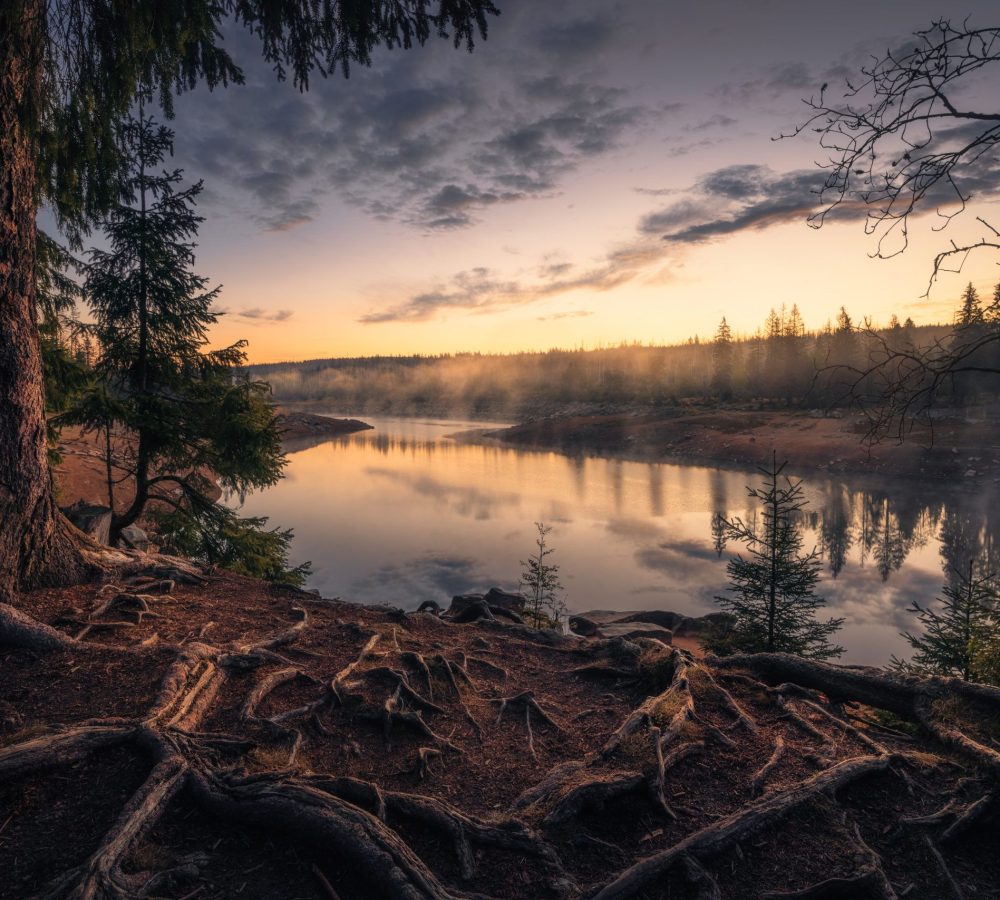 Harz Oderteich 2a Kai Hornung
