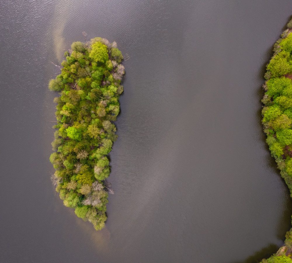 Hiking_ woods of Duchy of Lauenburg_Drohne_DJI_0771