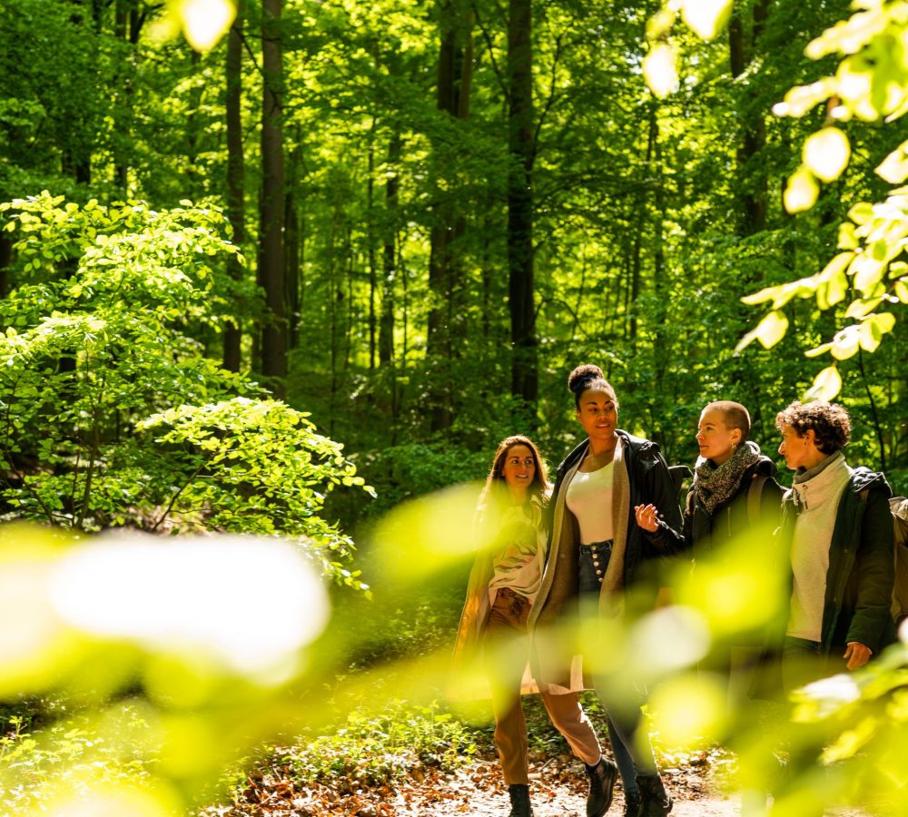Hiking_Holstein Switzerland_DSC09688