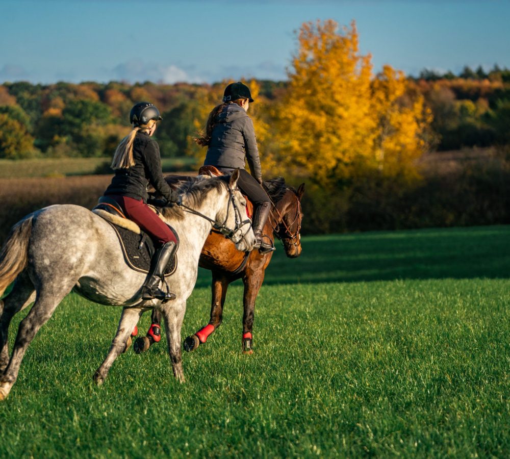 Holidays with horses_DSC04859