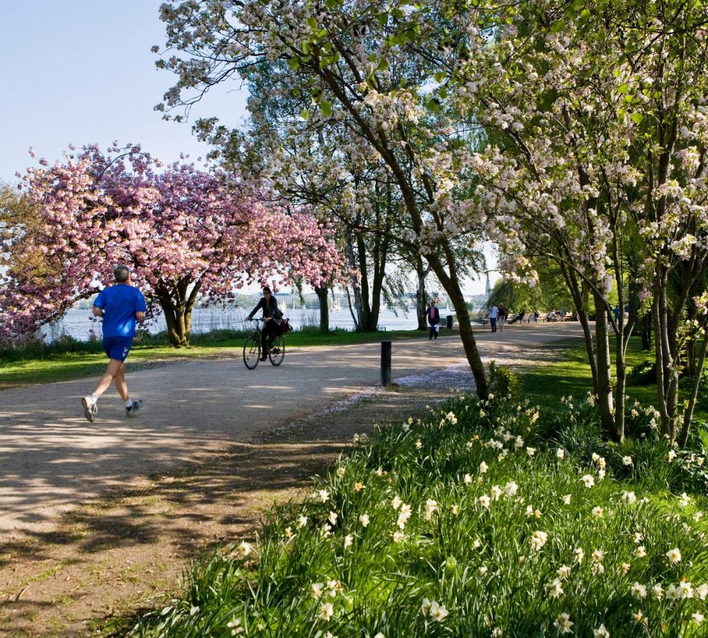 M-Hamburg Jogging an der Alster