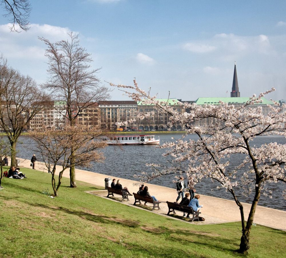 M-Sonne und Kirschblüten an der Binnenalster im Frühling