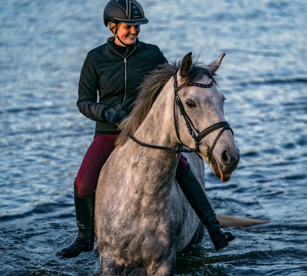 Riding horses DSC05554