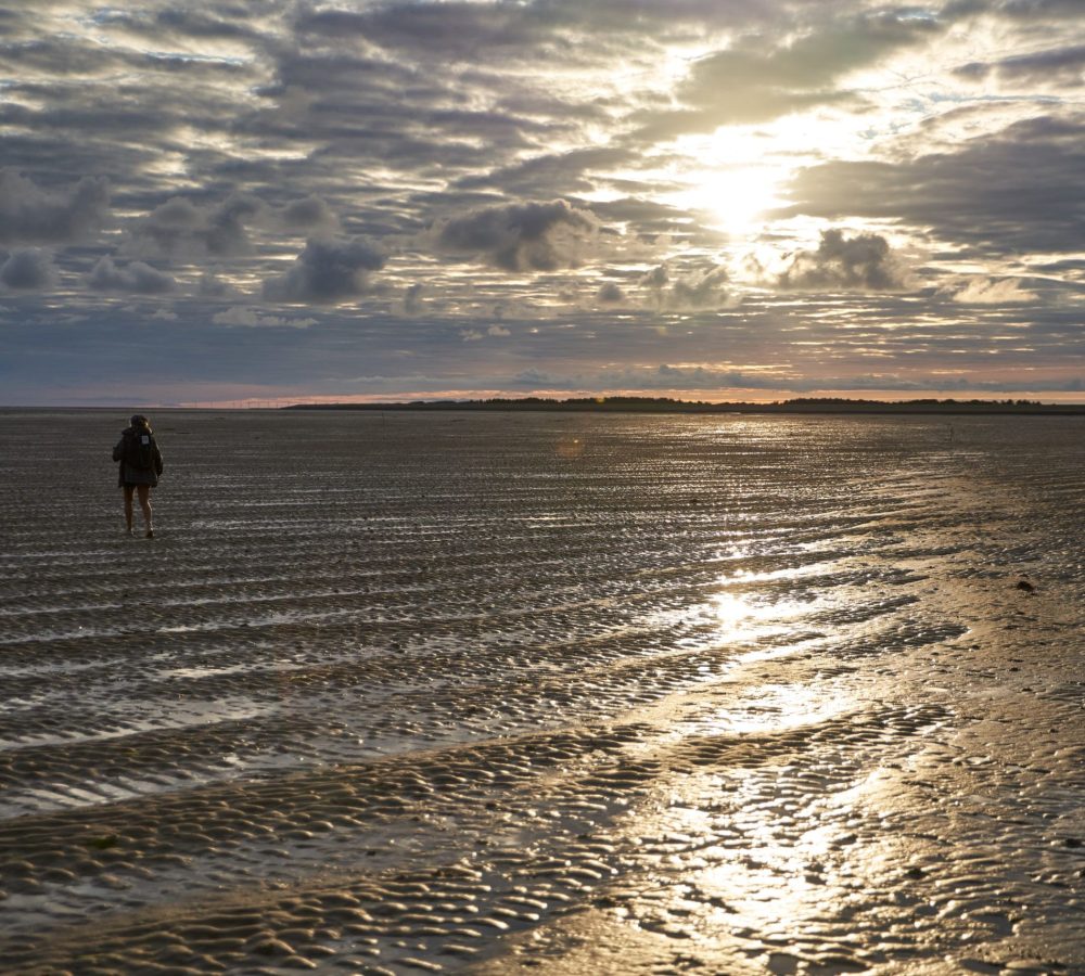 Wattwanderung mit Dark Blome von Föhr nach Amrum zum Sonnenaufgang