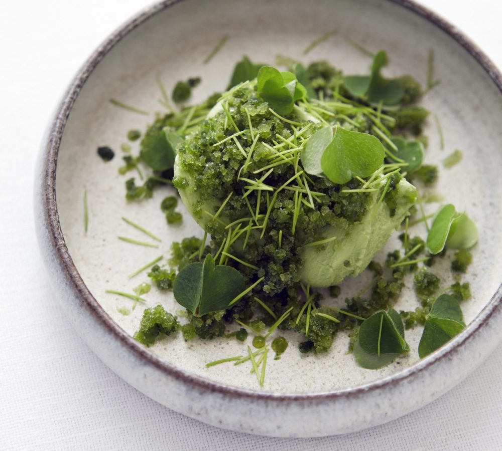 Sorrel and spruce
