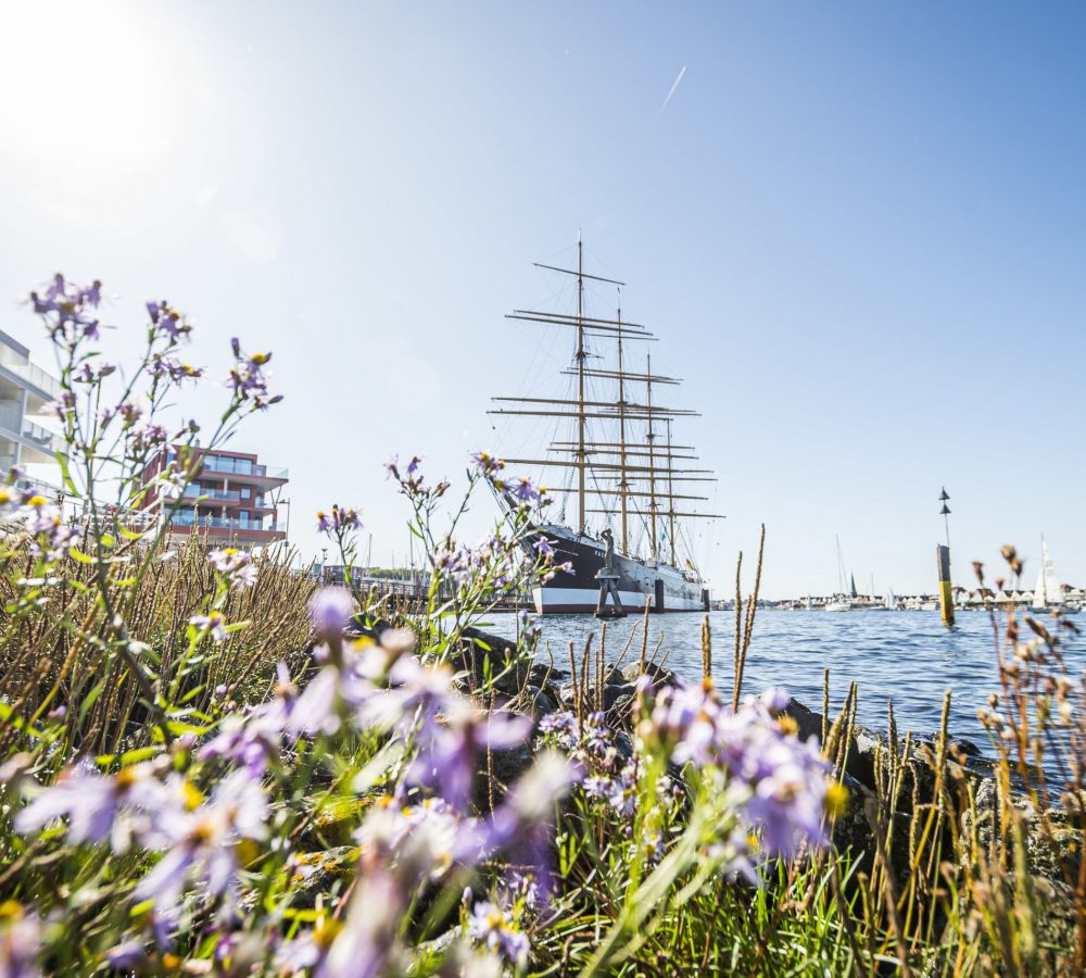 Blumen und Passat im Wasser © LTM