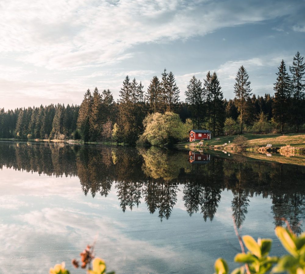 Ziegenberger Teich - Buntenbock_Harz