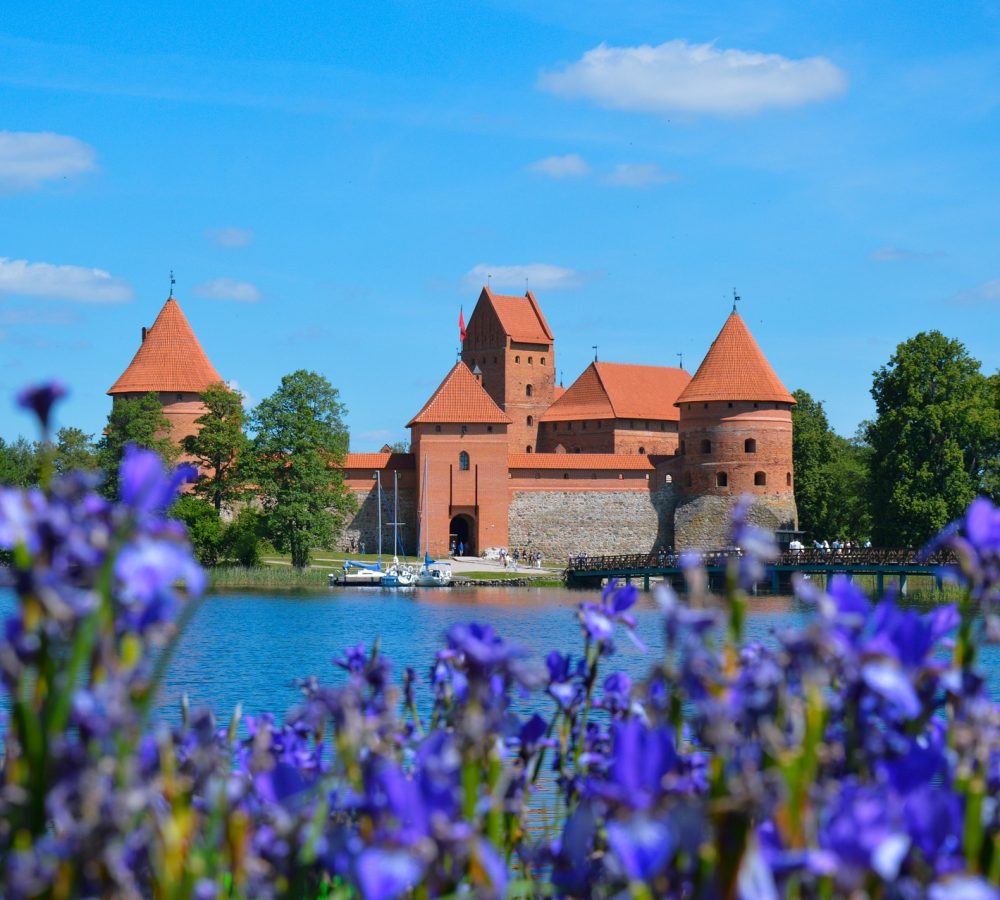castle-5068706_1920